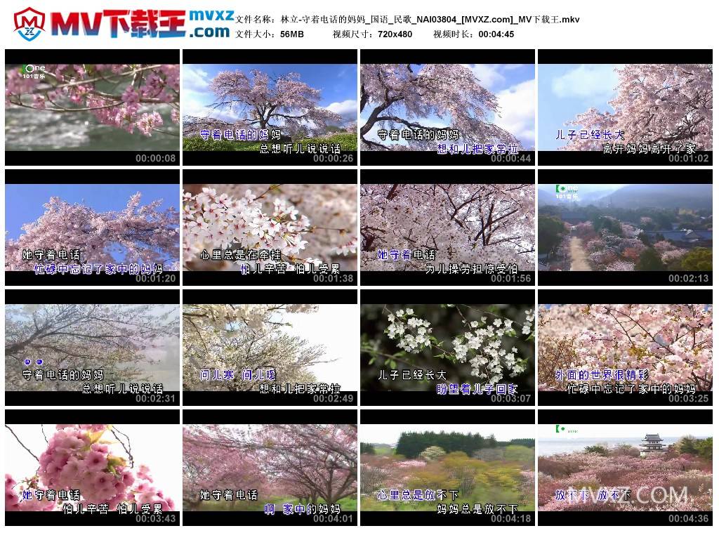 林立-守着电话的妈妈_国语_民歌_NAI03804